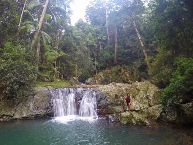 Sergi rainforest